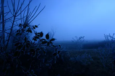 DSC_1051 (Large).JPG